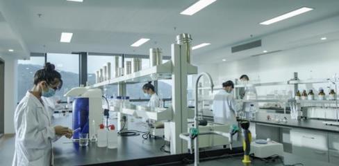 守正創新,理想華萊引領黑茶產業新變革