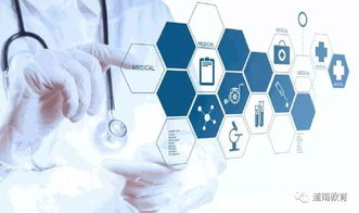 不考研相當于白讀的八大專業